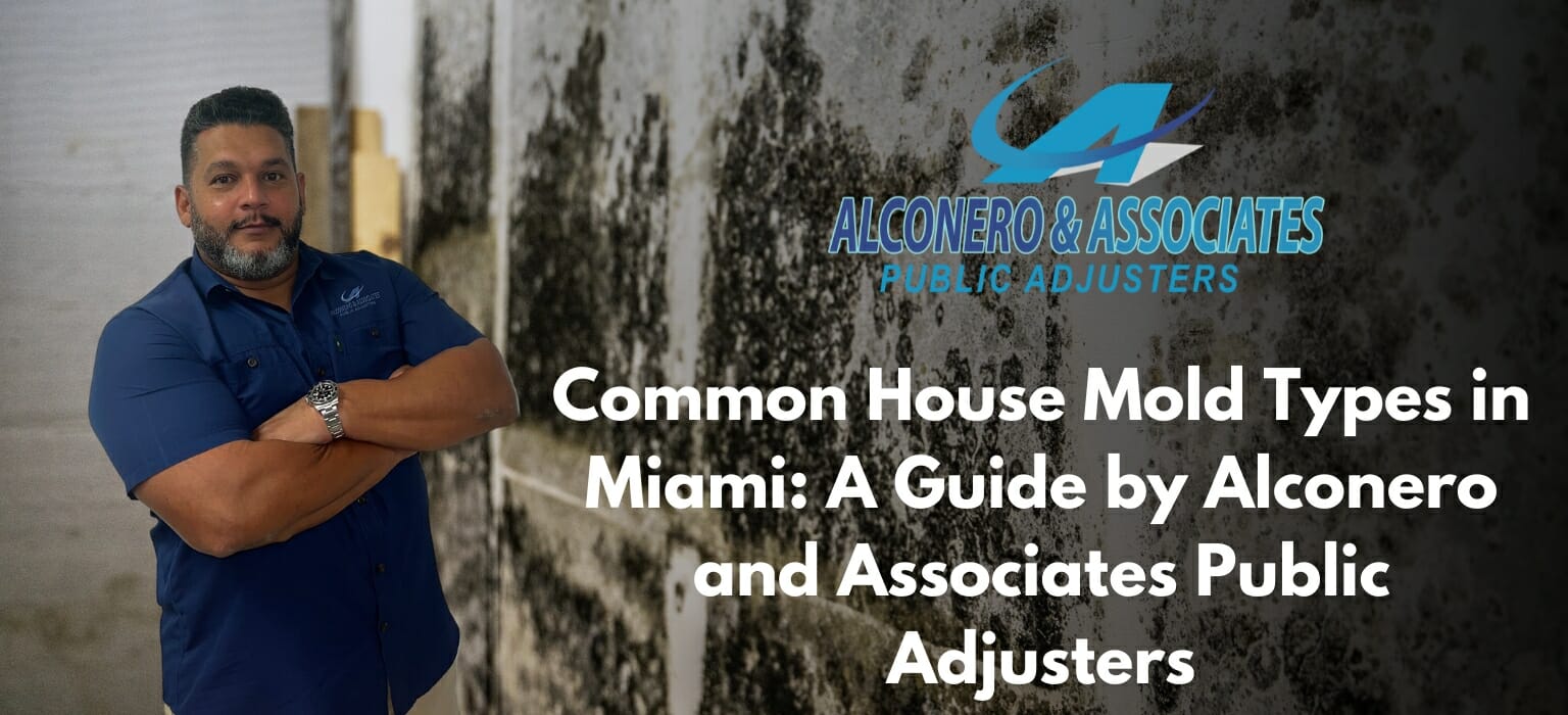 Florida House Mold Types: Guide by Alconero Public Adjusters