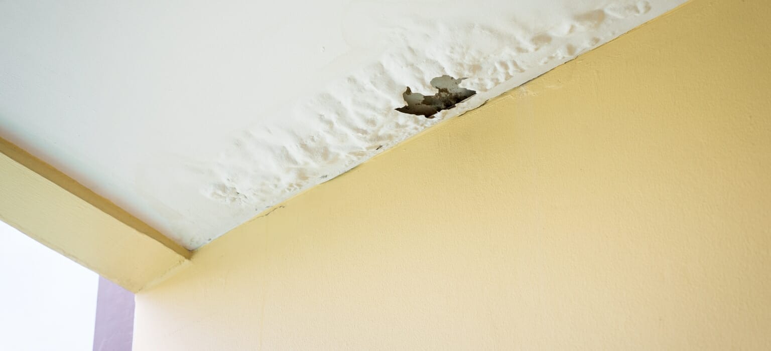 Recognizing the Signs of Water Damage in Walls