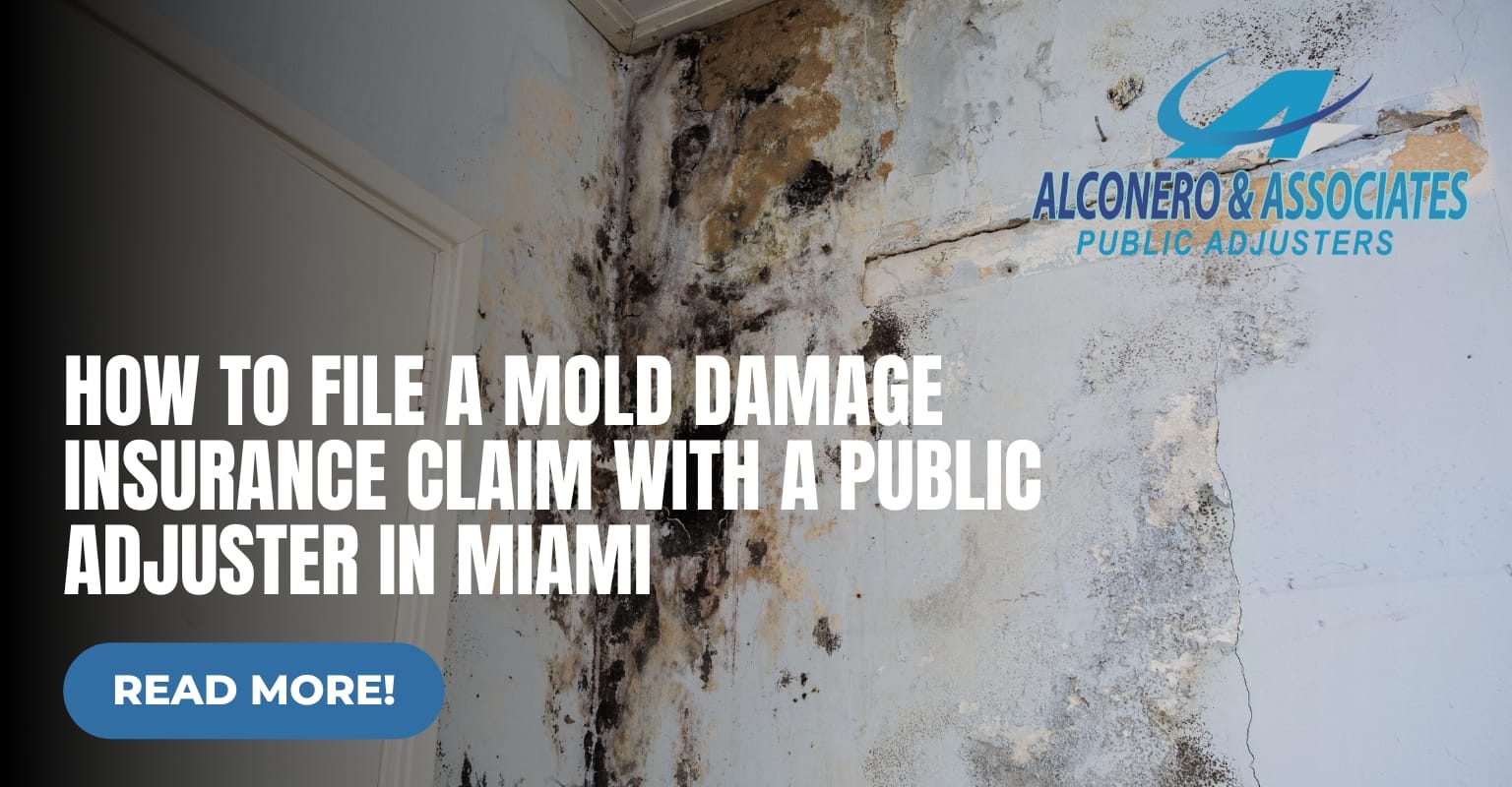 How to File a Mold Damage Insurance Claim with a Public Adjuster in Miami