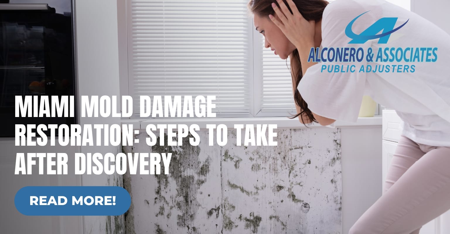 Miami Mold Damage Restoration: Steps to Take After Discovery